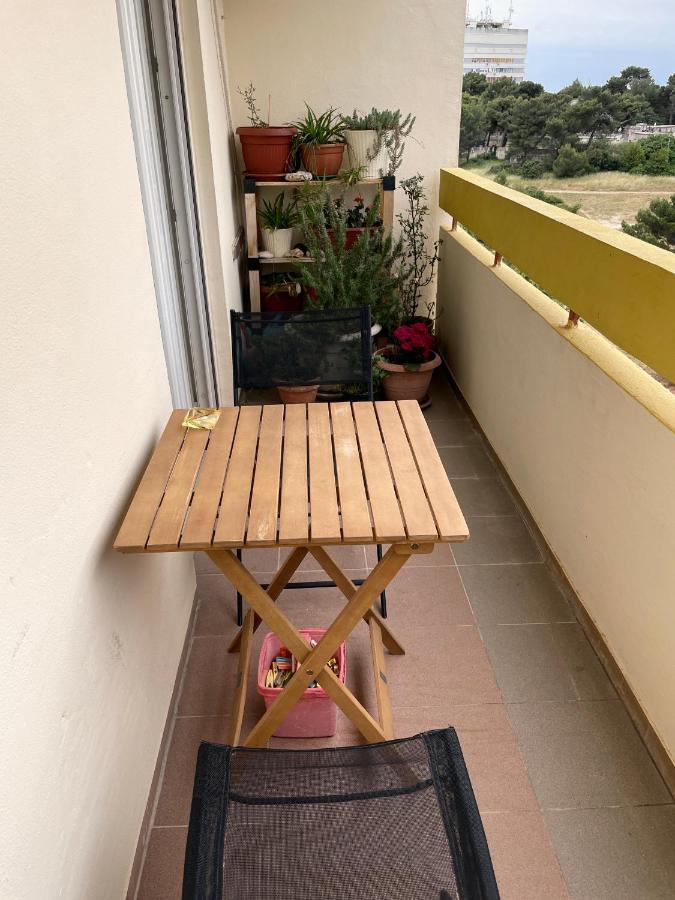 Apartment Todorovic - Macan Pula Exterior photo
